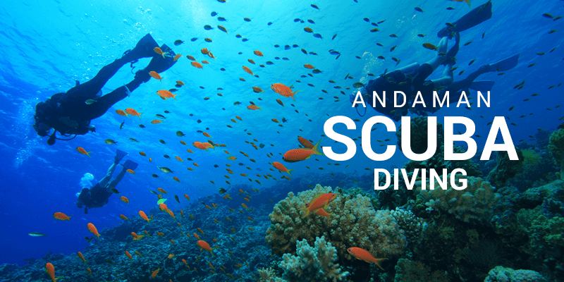 Scuba Diving 
