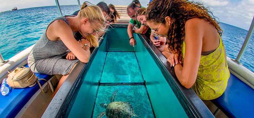 Glass Bottom Boat Ride 